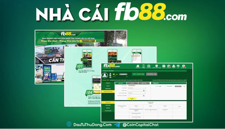 review-ve-nha-cai-fb88-co-nen-choi-ca-cuoc-tai-nha-cai-fb88-khong